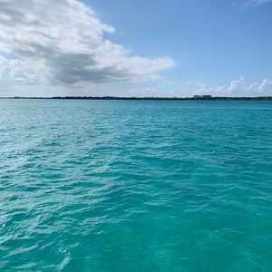 Meet your Posher, Ava